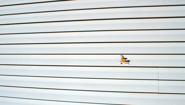 Best Brick Veneer Siding  in Lake Holm, WA
